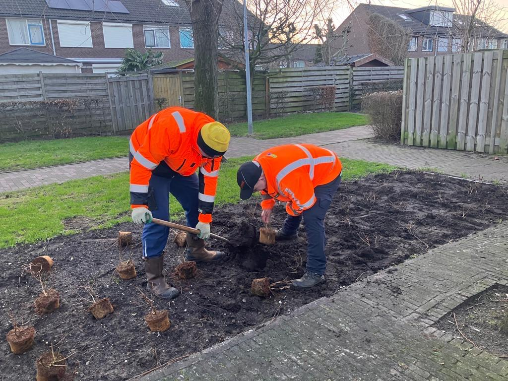 Gewipte tegels maken plaats voor groen