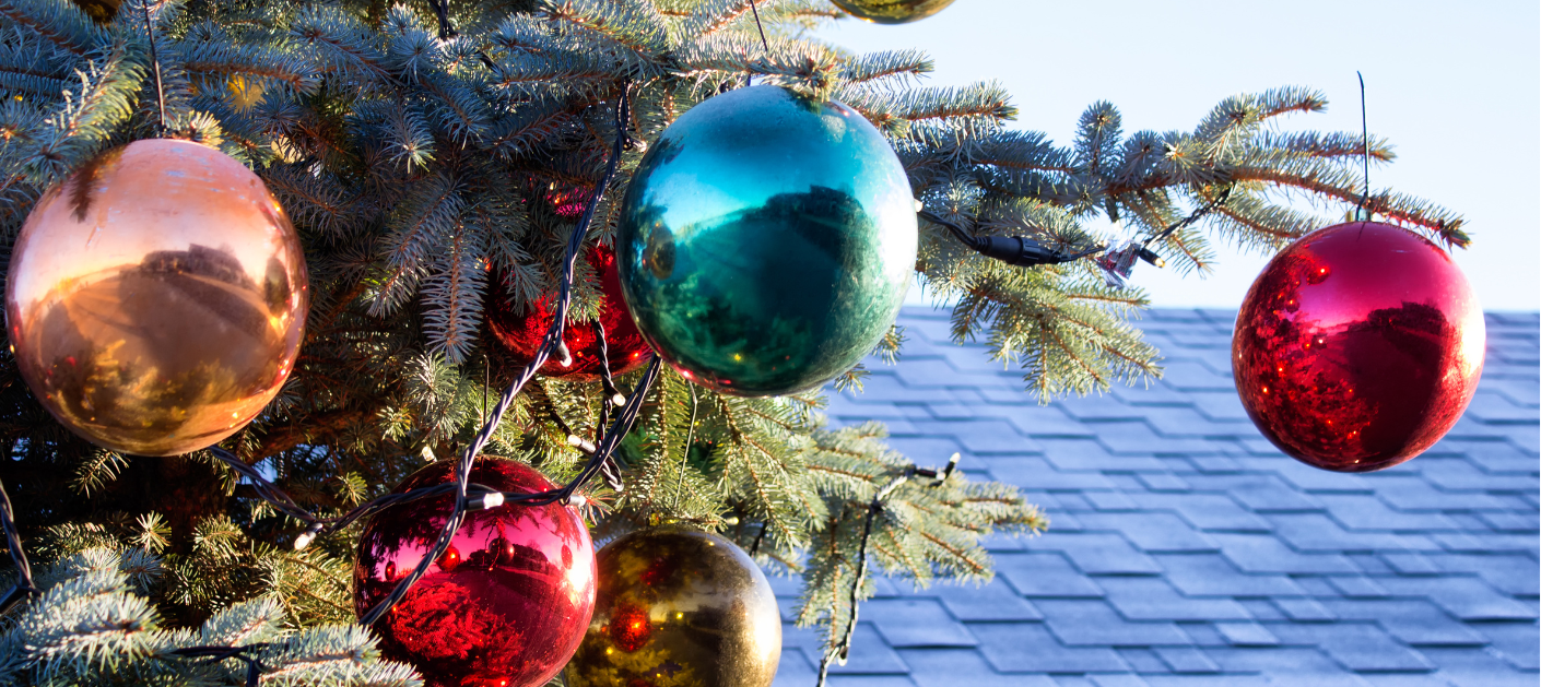 Bergherveld in kerststemming!